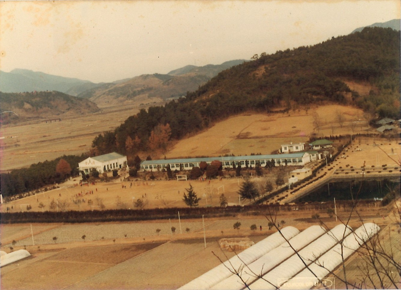 1981년_학교전경2